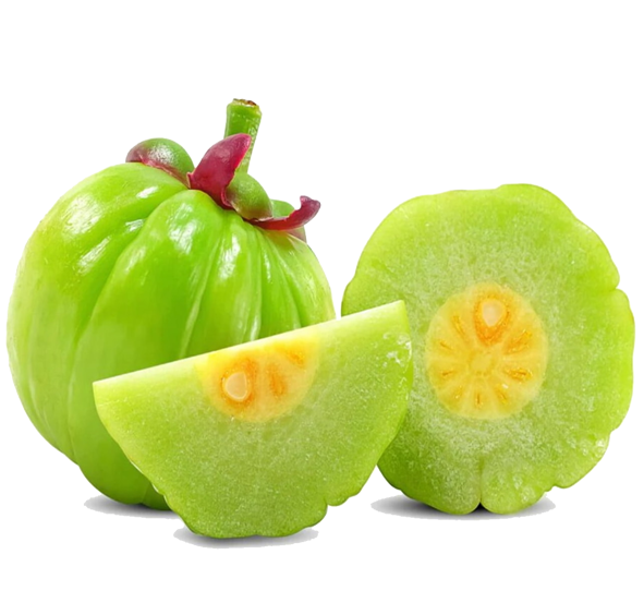 cambogia garcinia