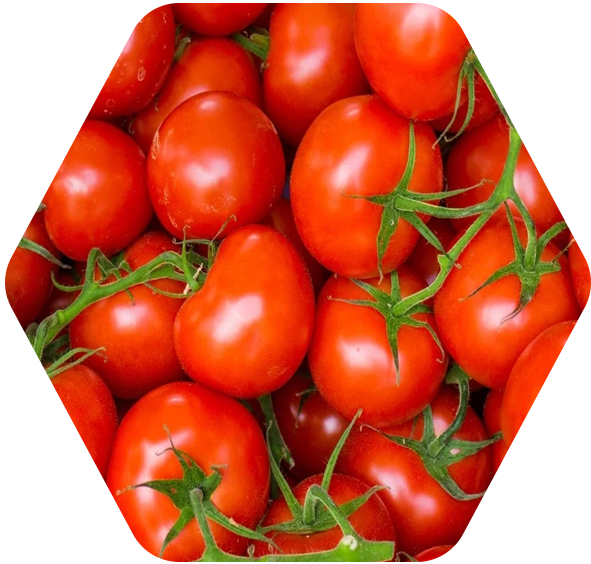 lycopene 1